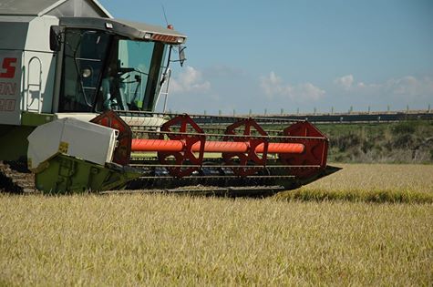 agricoltura-4-5-milioni-a-3-mila-200-produttori