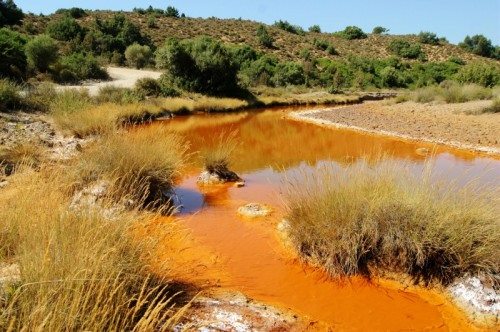 arbus-5stelle-and-ldquo-allarme-ambientale-veleni-nel-rio-irvi-and-rdquo