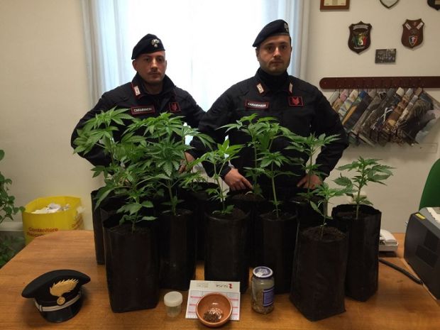carbonia-piantagione-di-marijuana-in-giardino-54enne-indagato