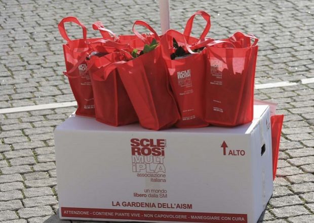 Sclerosi multipla: una gardenia per la ricerca sclerosi-multipla-una-gardenia-per-la-ricerca