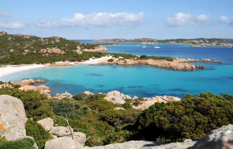 Codacons: “Consultazione pubblica per Budelli” codacons-and-ldquo-consultazione-pubblica-per-budelli-and-rdquo