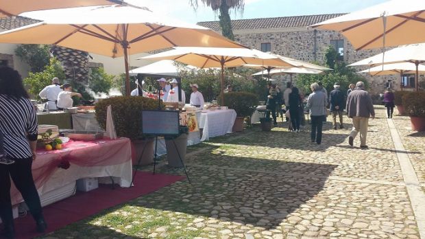 territorio-in-vetrina-ecco-primavera-sulcitana