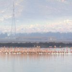 nuovo-look-tra-industria-e-natura-60-milioni-per-saline-conti-vecchi