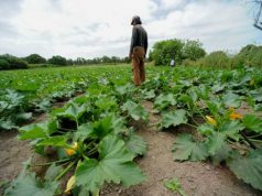coldiretti-trattori-in-piazza-and-ldquo-vogliamo-i-premi-ue-and-rdquo