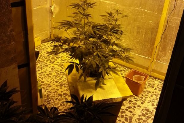 san-michele-serra-per-marijuana-in-camera-da-letto-disoccupato-in-manette
