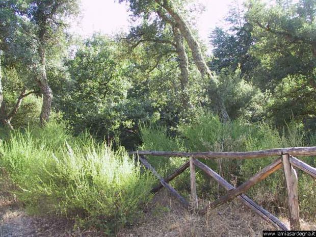 ente-foreste-via-a-riforma