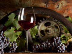 vinitaly-13-medaglie-per-i-cannonau-sardi