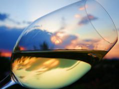 Trionfo a Vinitaly, Surrau tra i 5 Stars Wines trionfo-a-vinitaly-surrau-tra-i-5-stars-wines