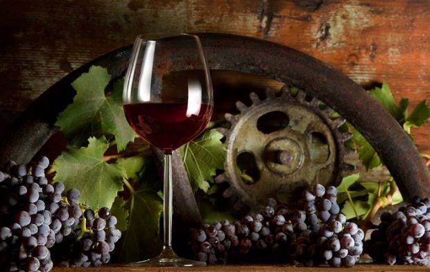 vinitaly-bacco-di-sidd-and-ugrave-ra-conquista-giuria