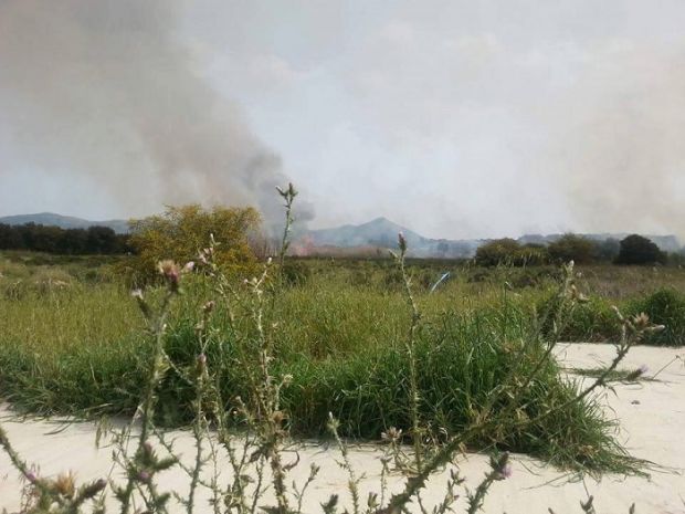 canneto-in-fiamme-primo-rogo-della-stagione-a-carbonia