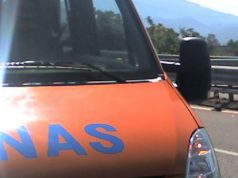 Anas, lavori sulla 293. Limitazioni a Samassi anas-lavori-sulla-293-limitazioni-a-samassi