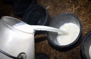 Coldiretti: “Latte sottopagato, azioni legali contro gli industriali” prezzo-latte-de-castro-and-ldquo-contro-crollo-serve-programmazione-and-rdquo
