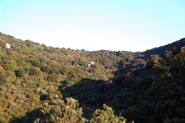 legge-forestale-maggioranza-divisa-sulla-definizione-di-and-ldquo-bosco-and-rdquo