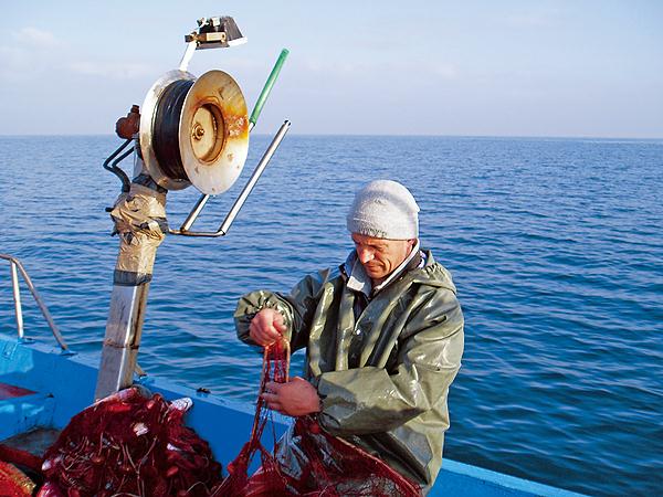 Rilancio della pesca rilancio-della-pesca-mozione-centrosinistra