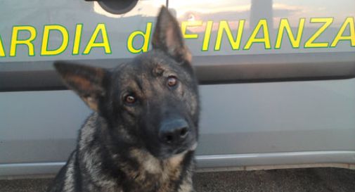 negli-slip-la-droga-per-il-fratello-detenuto-arrestato