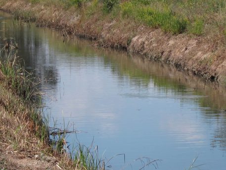 terramaini-anziano-cade-nel-canale-e-muore