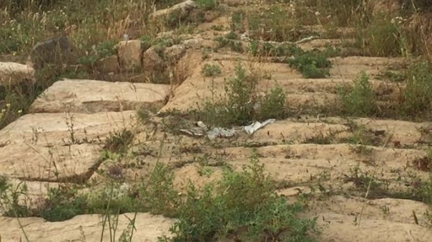 Mont’e Prama mont-and-rsquo-e-prama-pili-and-ldquo-la-collina-dei-giganti-and-egrave-abbandonata-and-rdquo