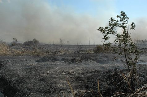 lotta-agli-incendi-in-campo-8-mila-unit-and-agrave