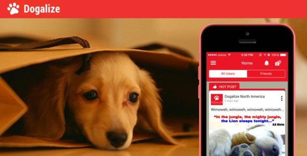 amici-a-quattro-zampe-veterinari-e-dog-sitter-in-una-mappa-web-anche-a-cagliari-con-dogalize