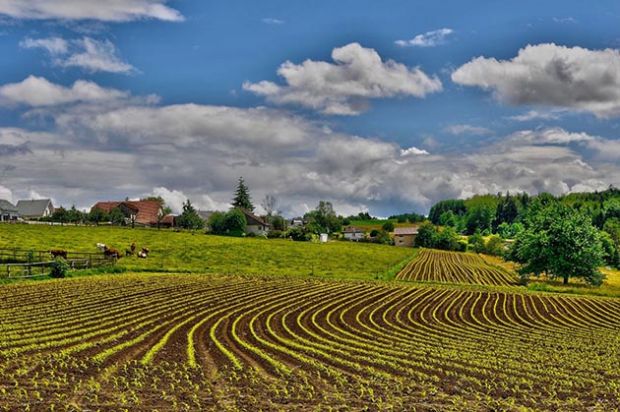 Piano di sviluppo rurale: Cisl: "1 piano-di-sviluppo-rurale-cisl-and-quot-1-3-miliardi-ancora-da-utilizzare-and-quot