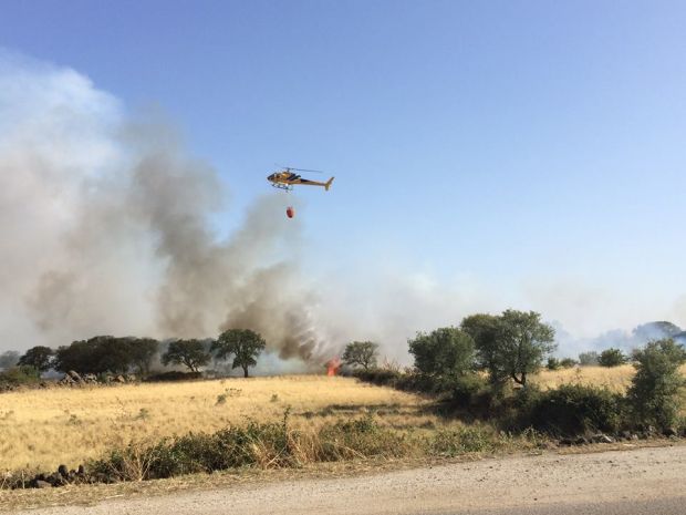incendio-nel-nuorese-fiamme-tra-dualchi-e-noragugume