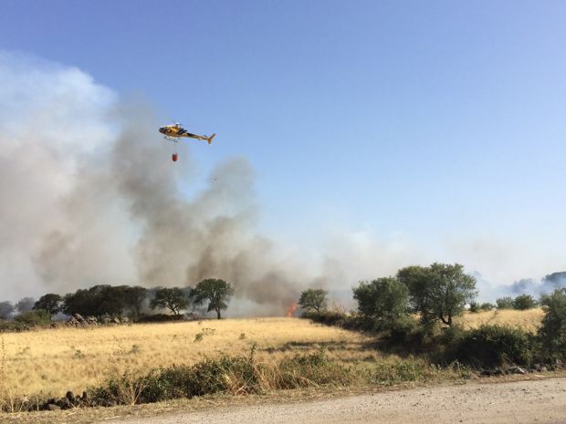 incendio-in-campagne-ploaghe-minacciata-basilica-saccargia