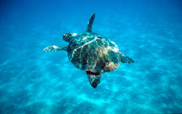 legambiente-sardegna-si-candidi-leader-aree-marine-protette
