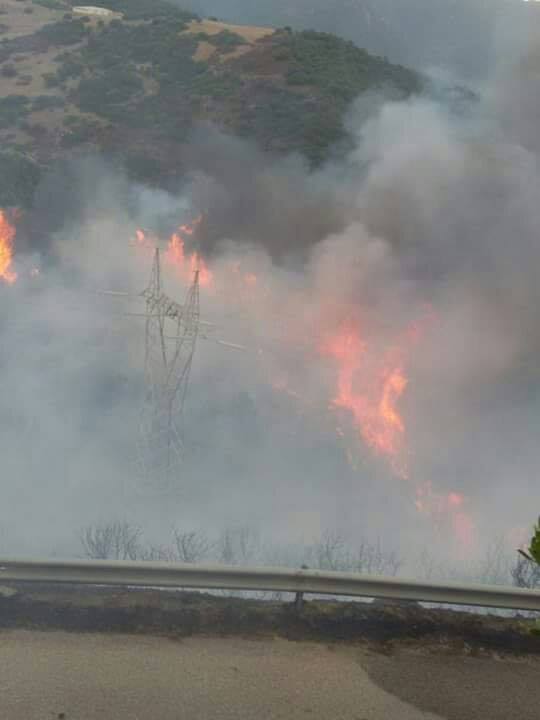 vasto-rogo-vicino-sassari-case-lambite-da-fiamme