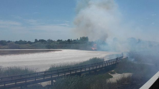 Incendio nel parco di Terramaini incendio-nel-parco-di-terramaini-traffico-deviato