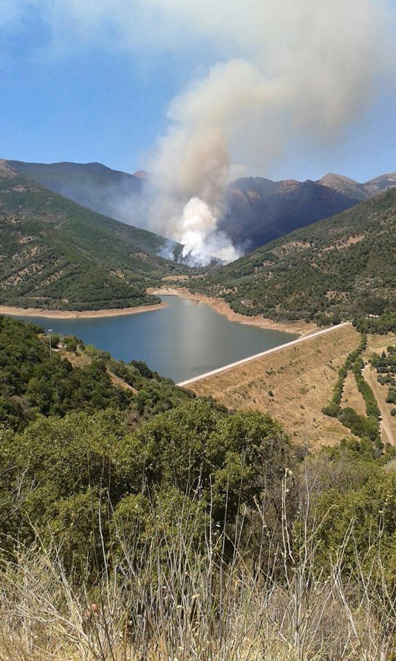 vasto-incendio-fra-nuoro-e-sassari-2-ustionati