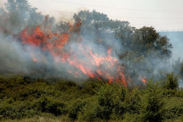 incendi-sestu-monserrato-e-quartu-arrestati-due-piromani