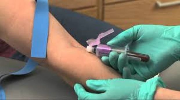 al-via-raccolta-sangue-nelle-spiagge-della-gallura