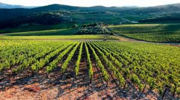 Agricoltura agricoltura-2-6-mln-per-mettere-in-sicurezza-piana-a-orosei