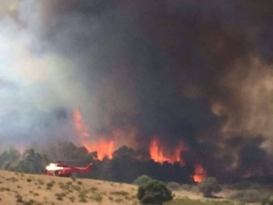 Incendi incendi-vasto-rogo-su-monte-limbara-in-gallura