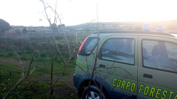 sorpreso-ad-appiccare-roghi-arrestato-piromane-seriale