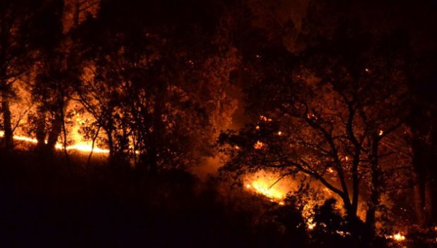 Incendi incendi-fiamme-a-sinnai-e-nel-nuorese-mezzi-aerei-in-azione
