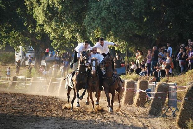 Ritorna a Thiesi la Rassegna regionale delle pariglie ritorna-a-thiesi-la-rassegna-regionale-delle-pariglie