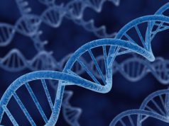 Stop garante privacy a uso Dna sardi, a rischio ricerca sparite-provette-dna-sardi-nessun-furto-ma-sono-a-cagliari