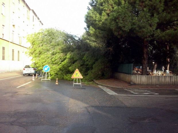 cagliari-albero-caduto-su-strada-possibili-rallentamenti