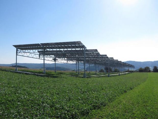 Energia sopra energia-sopra-verdura-sotto-debutta-l-agrofotovoltaico