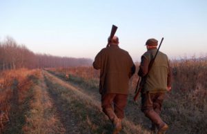 cacciatore-si-ferisce-da-solo-alla-testa-nel-nuorese