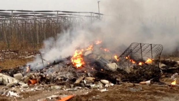 Giovane filmato mentre incendia rifiuti giovane-filmato-mentre-incendia-rifiuti-denunciato