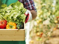 turismo-e-agroalimentare-confapi-scommette-su-mercati-asia