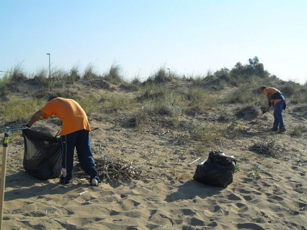 nuovo-sistema-green-per-separare-alghe-e-sabbia