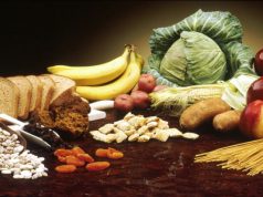 Prima farmacia specializzata per vegetariani e vegani prima-farmacia-specializzata-per-vegetariani-e-vegani