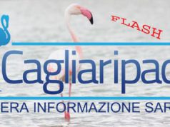 boom-voucher-in-8-anni-347-milioni-paga-media-500-euro-all-anno