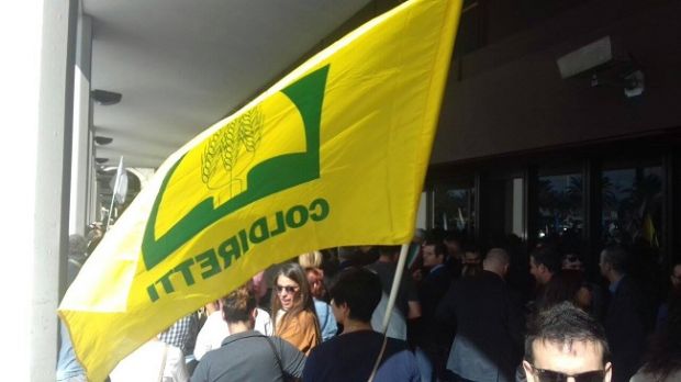 Ryanair ryanair-sindaci-in-massa-sotto-il-consiglio-and-quot-deve-restare-and-quot