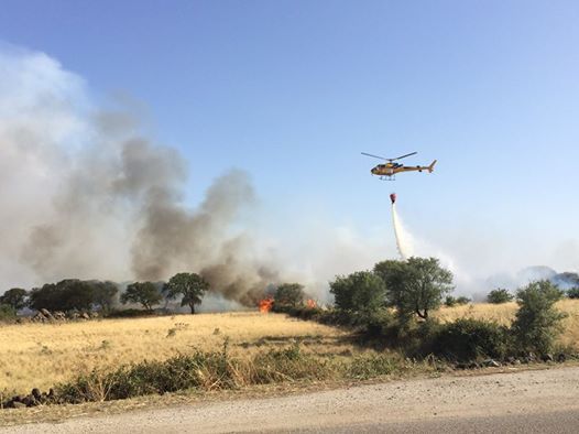 incendi-fiamme-nel-sassarese-chiuso-tratto-statale-131