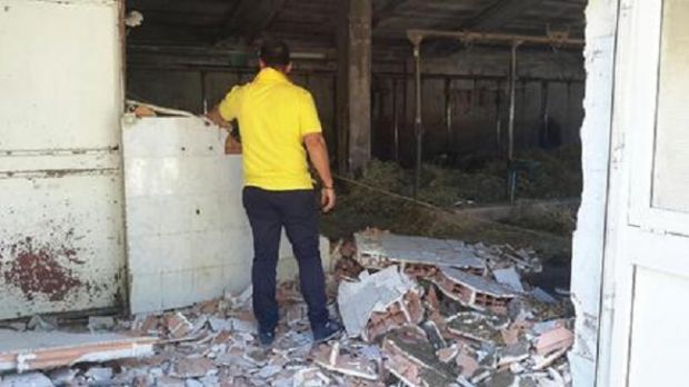 Allarme per animali in campagne Norcia allarme-per-animali-in-campagne-norcia