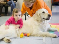 sanit-and-agrave-pet-therapy-all-asl-di-olbia-con-cani-in-corsia